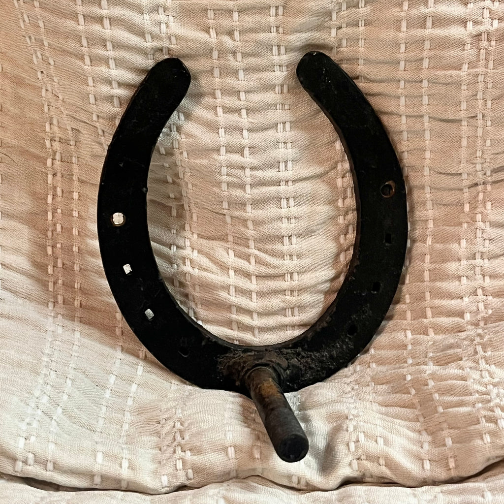Horse Shoe Hanging Hook