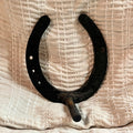 Horse Shoe Hanging Hook